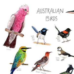 Australian birds print DIGITAL DOWNLOAD