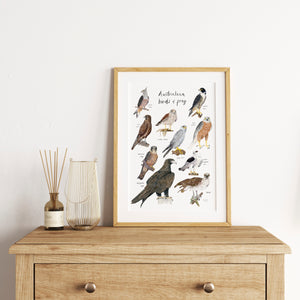 Australian birds of prey print