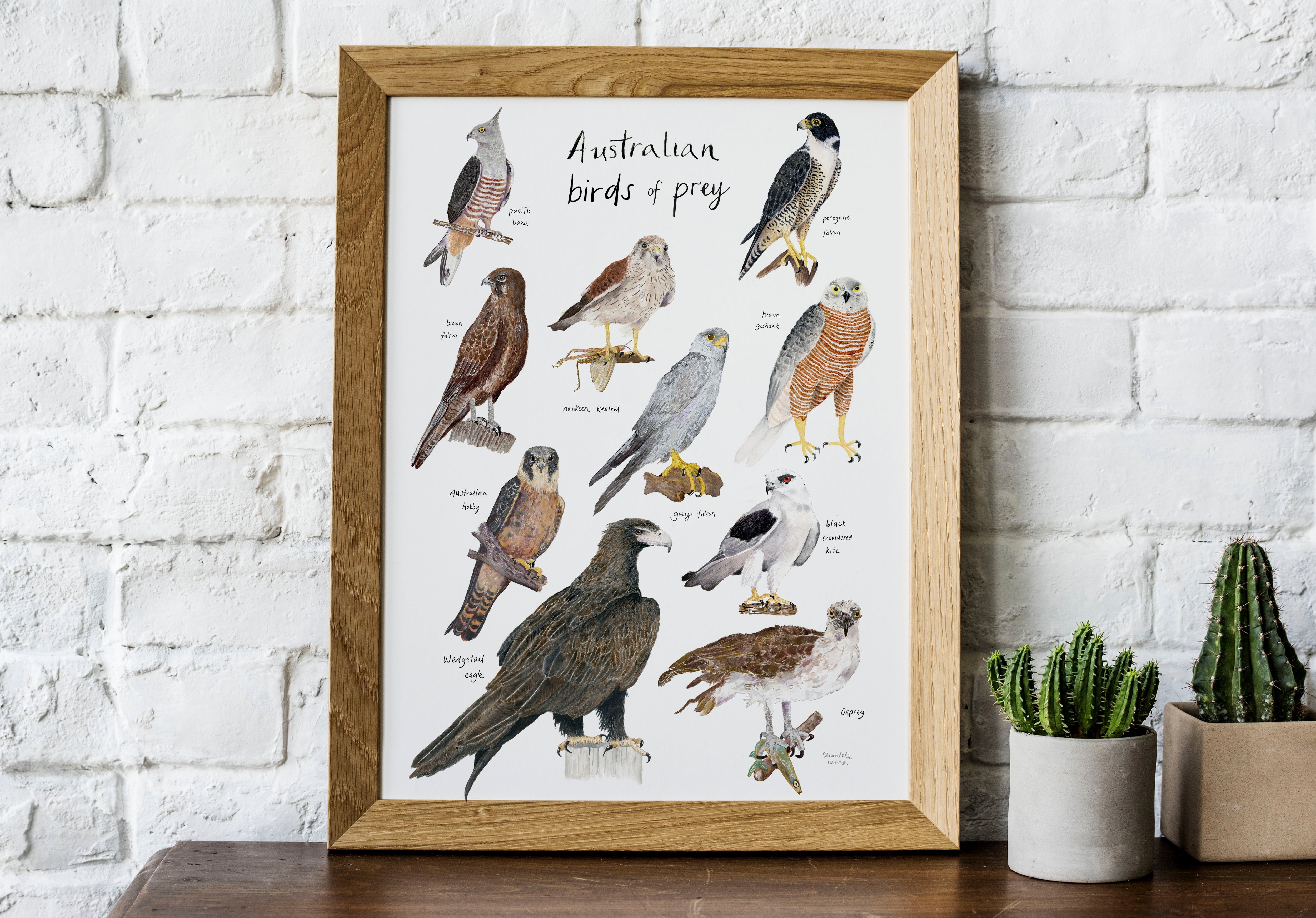 Australian birds of prey print