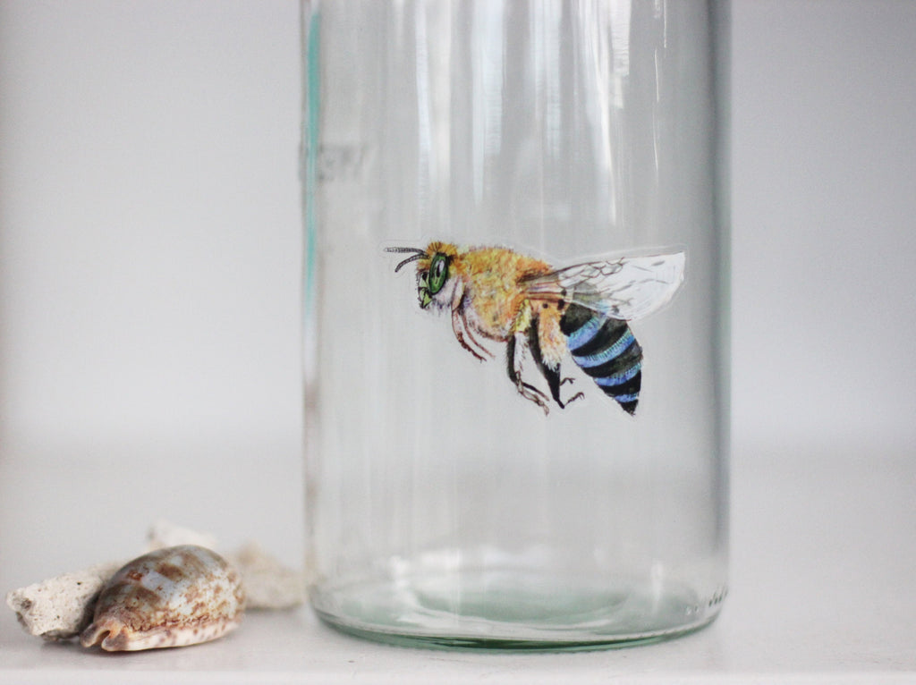 Blue Banded Bee Sticker: Waterproof Vinyl Decal