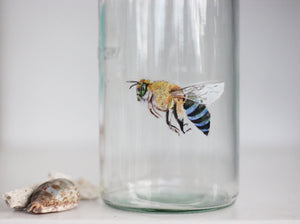 Blue Banded Bee Sticker: Waterproof Vinyl Decal