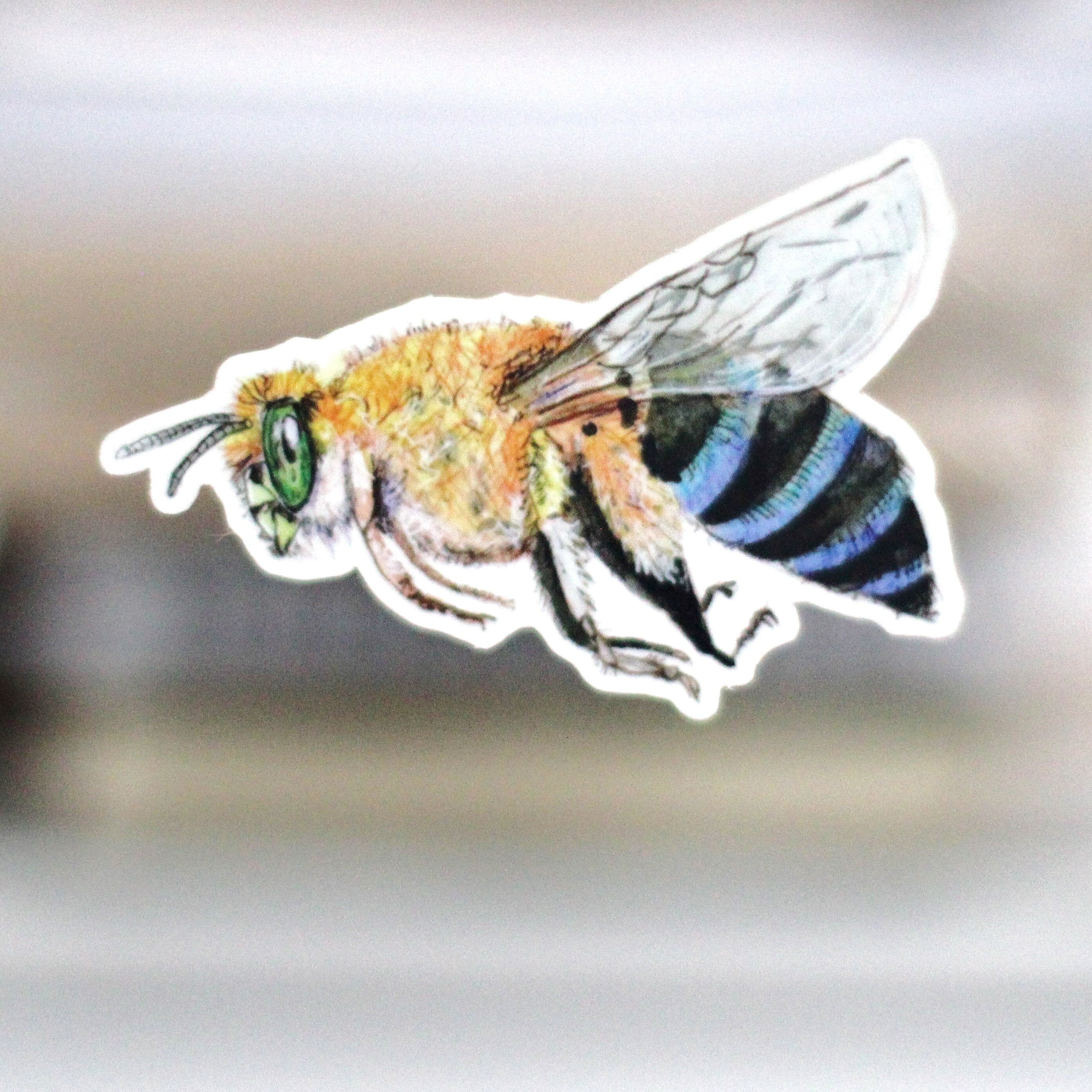 Blue Banded Bee Sticker: Waterproof Vinyl Decal