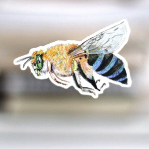 Blue Banded Bee Sticker: Waterproof Vinyl Decal