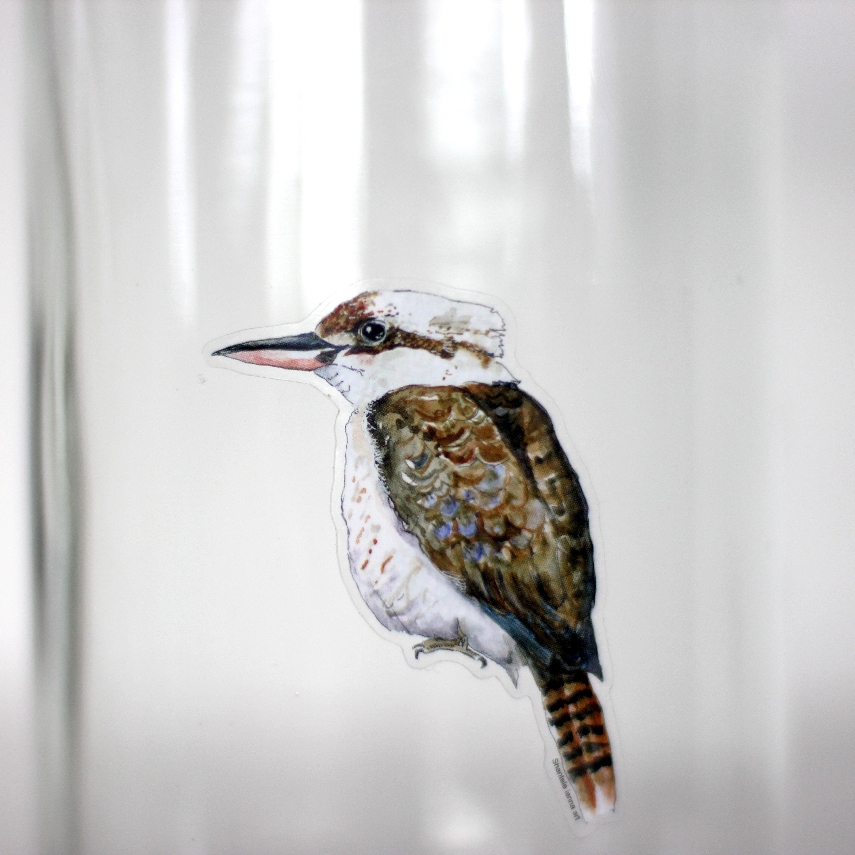 Kookaburra Vinyl Sticker: Weatherproof Bird Lover Decal