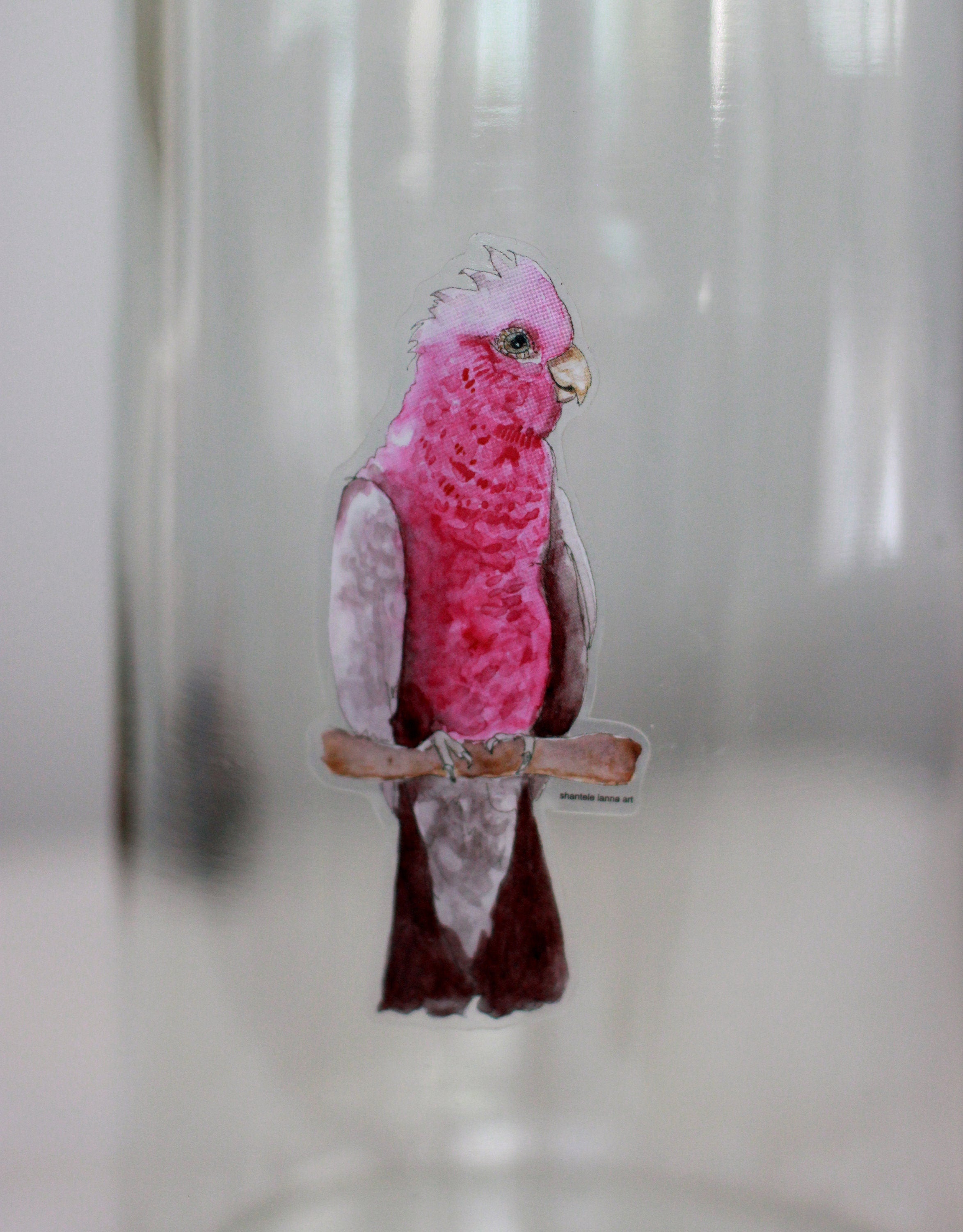 Galah Watercolor Sticker: Waterproof Vinyl Decal