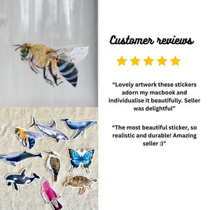 Blue Banded Bee Sticker: Waterproof Vinyl Decal