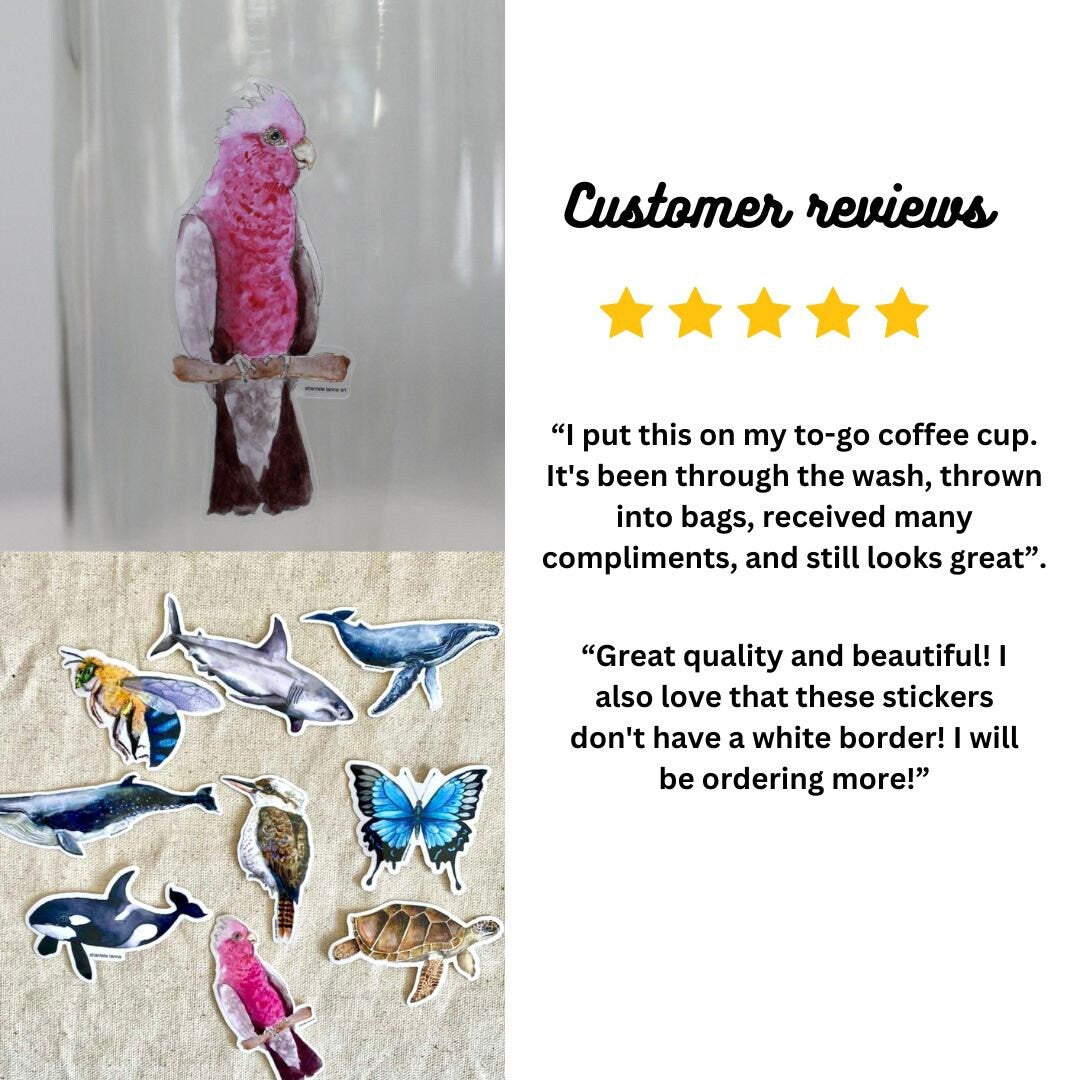 Galah Watercolor Sticker: Waterproof Vinyl Decal