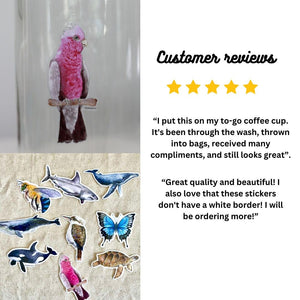 Galah Watercolor Sticker: Waterproof Vinyl Decal