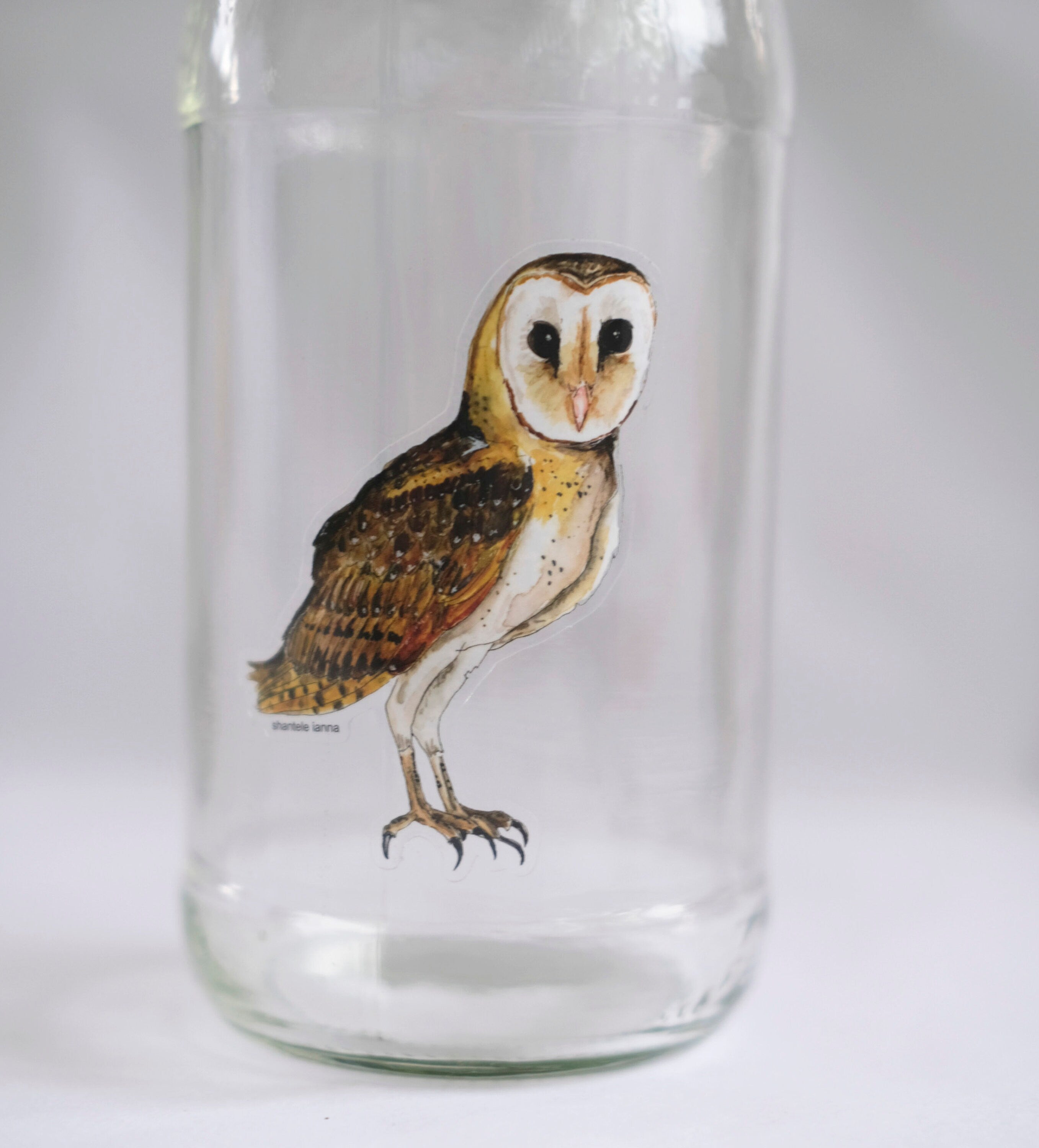 Owl sticker, waterproof sticker, vinyl sticker - high quality owl sticker to personalise any item