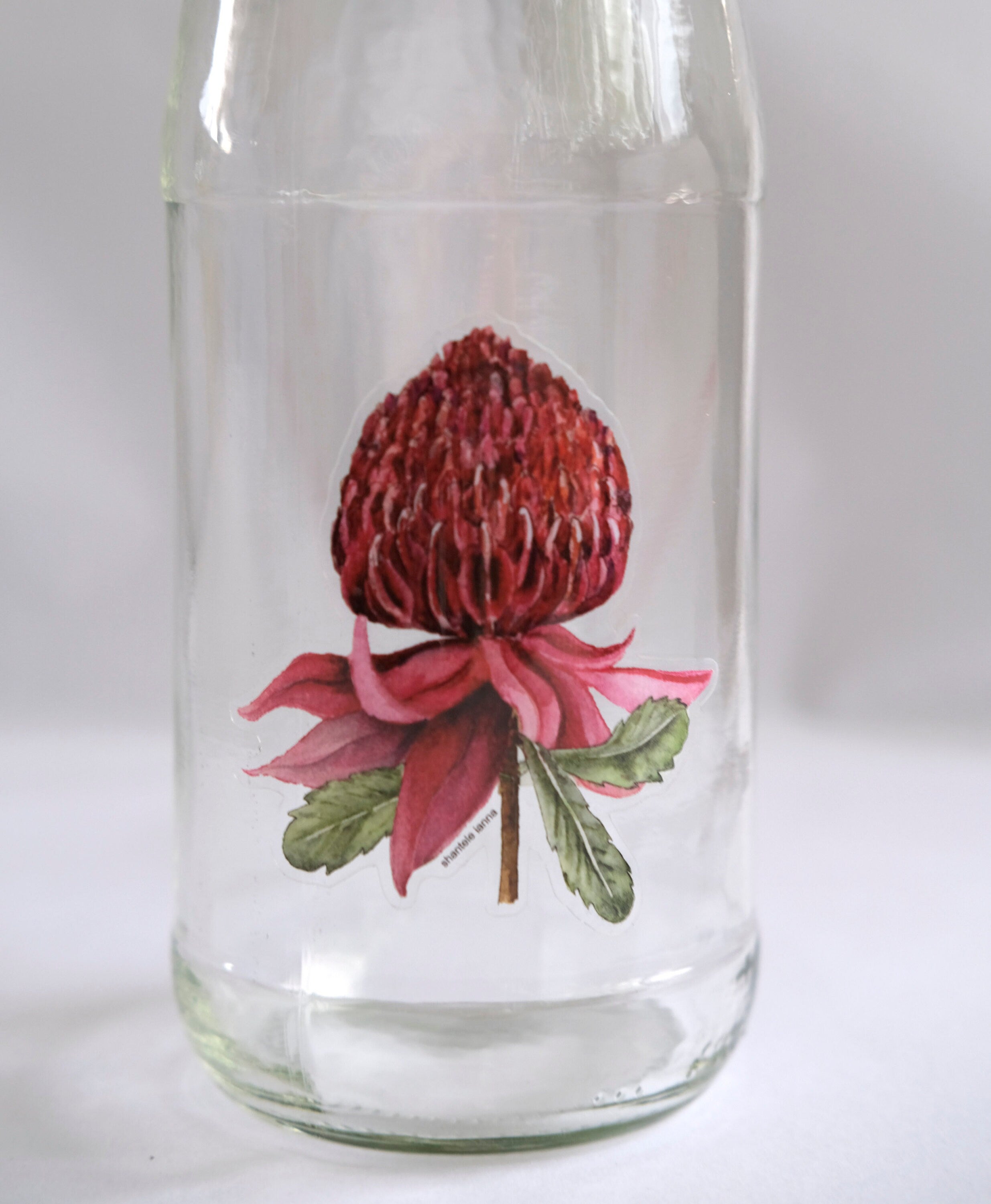 Waratah Flower Sticker: Waterproof Vinyl Decal