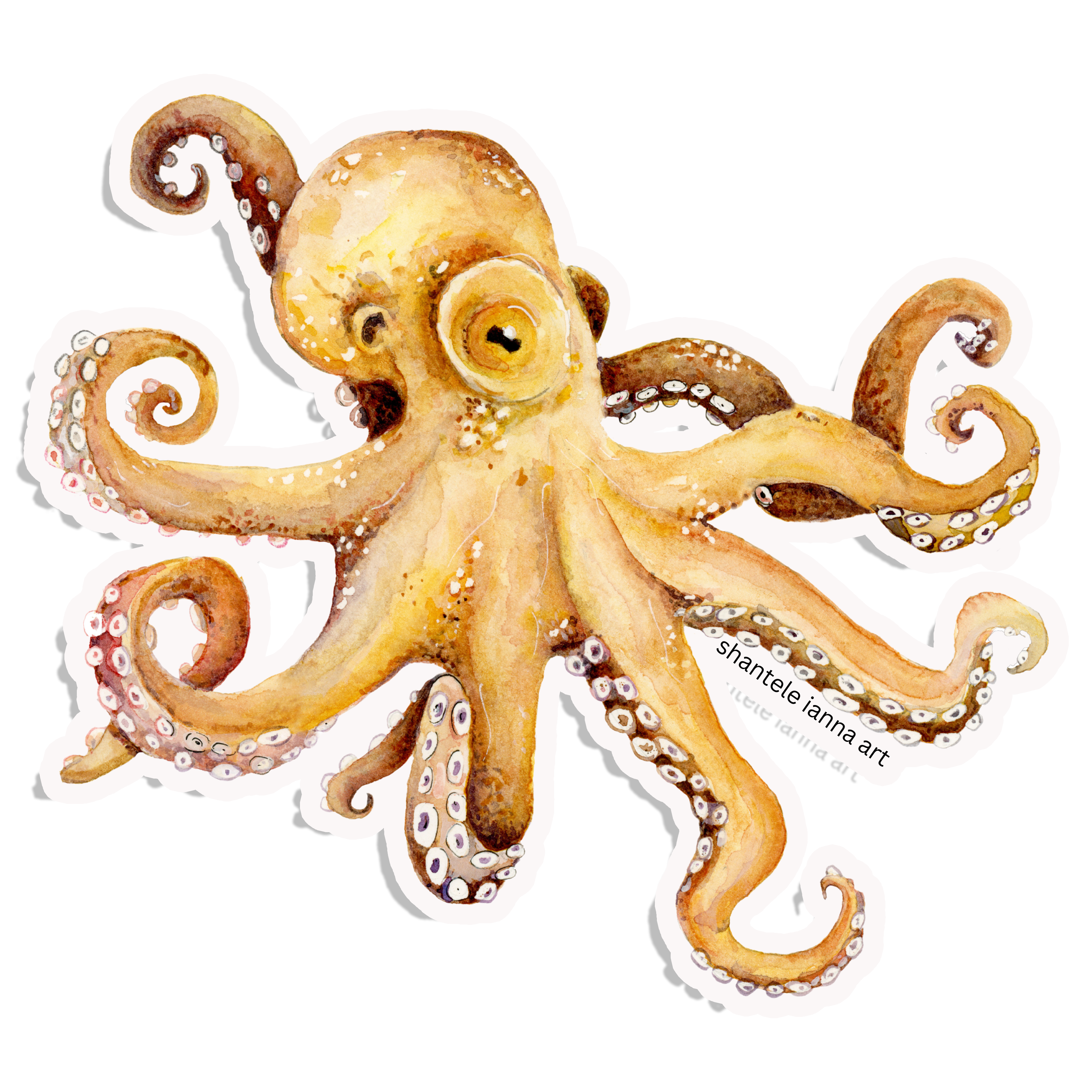 Octopus sticker