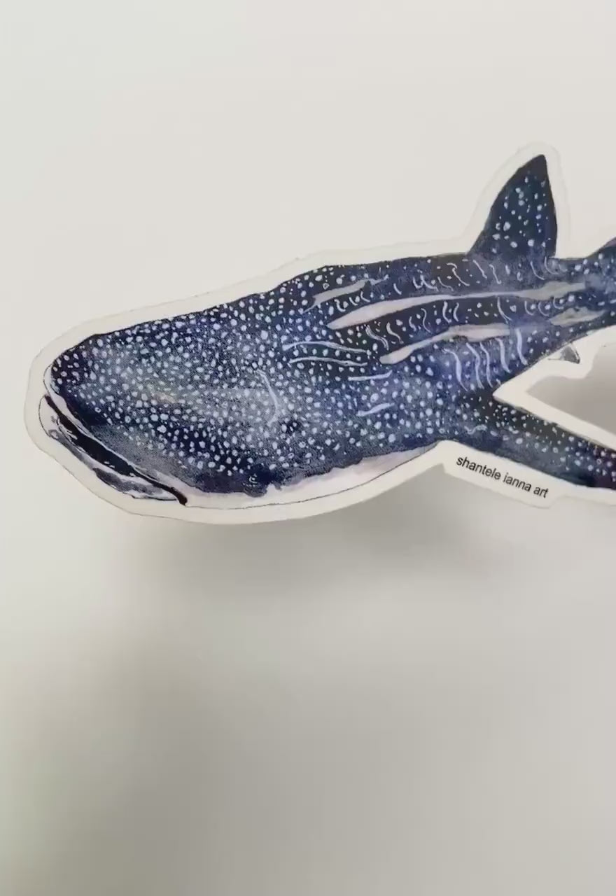 Whale Shark Sticker: Waterproof Vinyl Decal