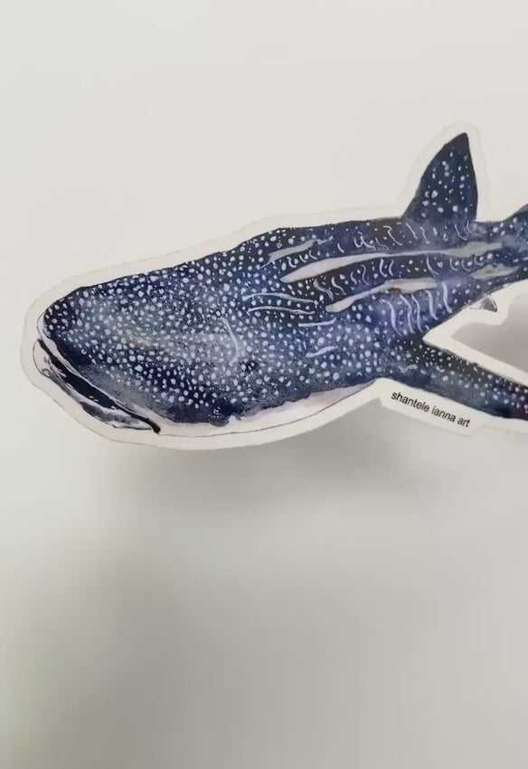 Whale Shark Sticker: Waterproof Vinyl Decal