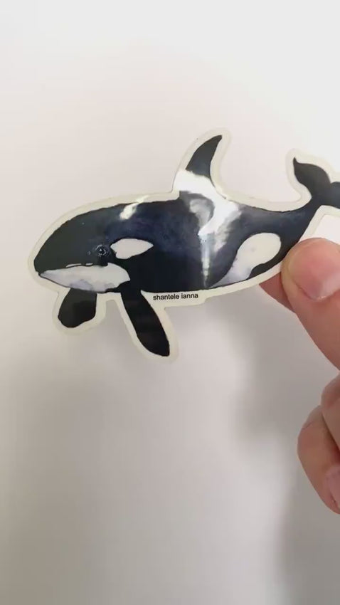 Orca sticker, waterproof sticker, vinyl sticker, outdoor sticker, laptop sticker, orca, killer whale sticker