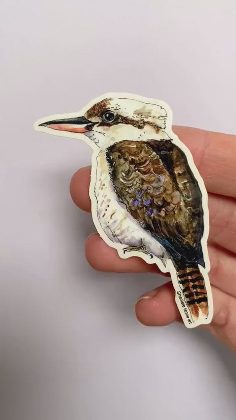 Kookaburra Vinyl Sticker: Weatherproof Bird Lover Decal