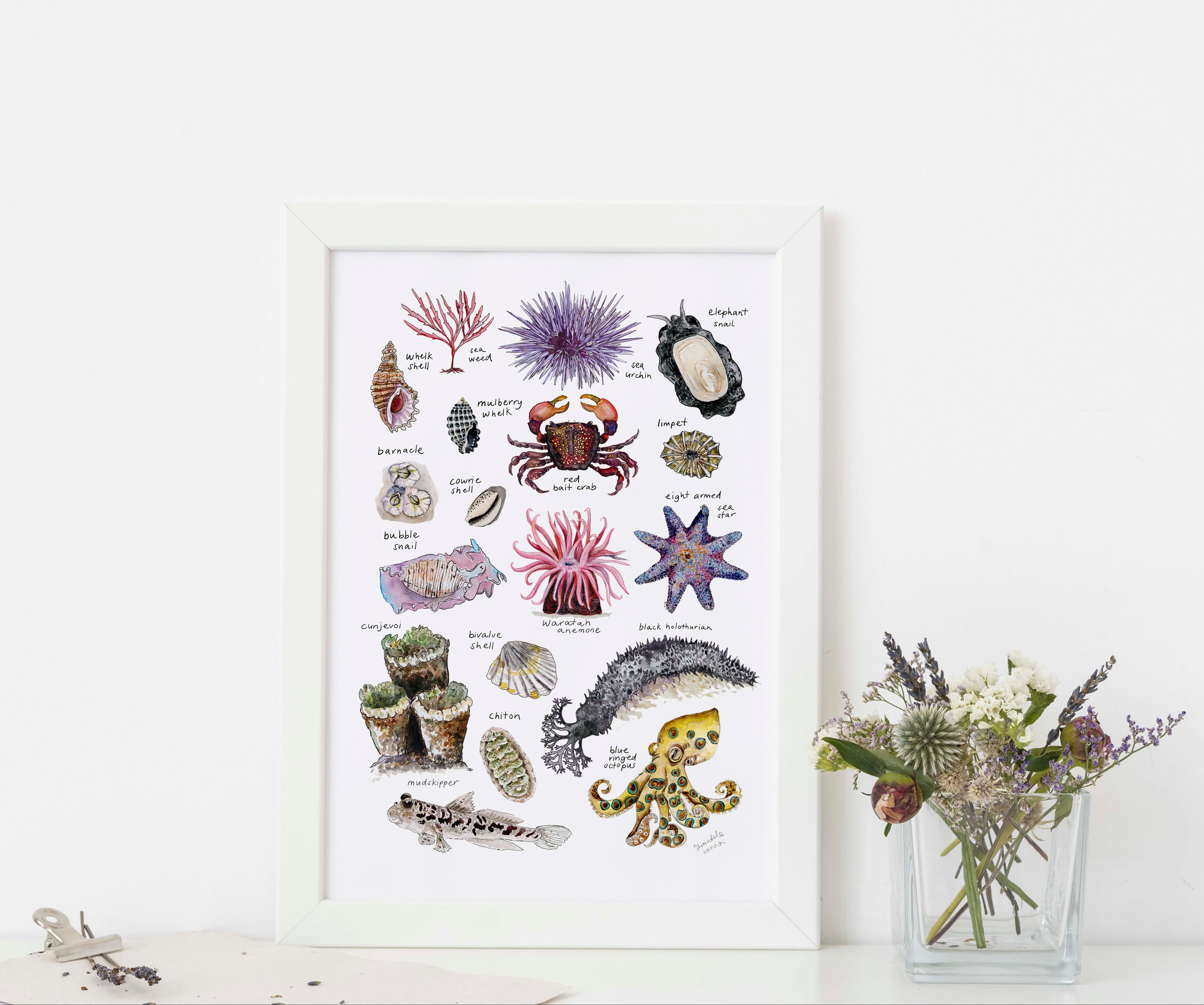 Rockpools