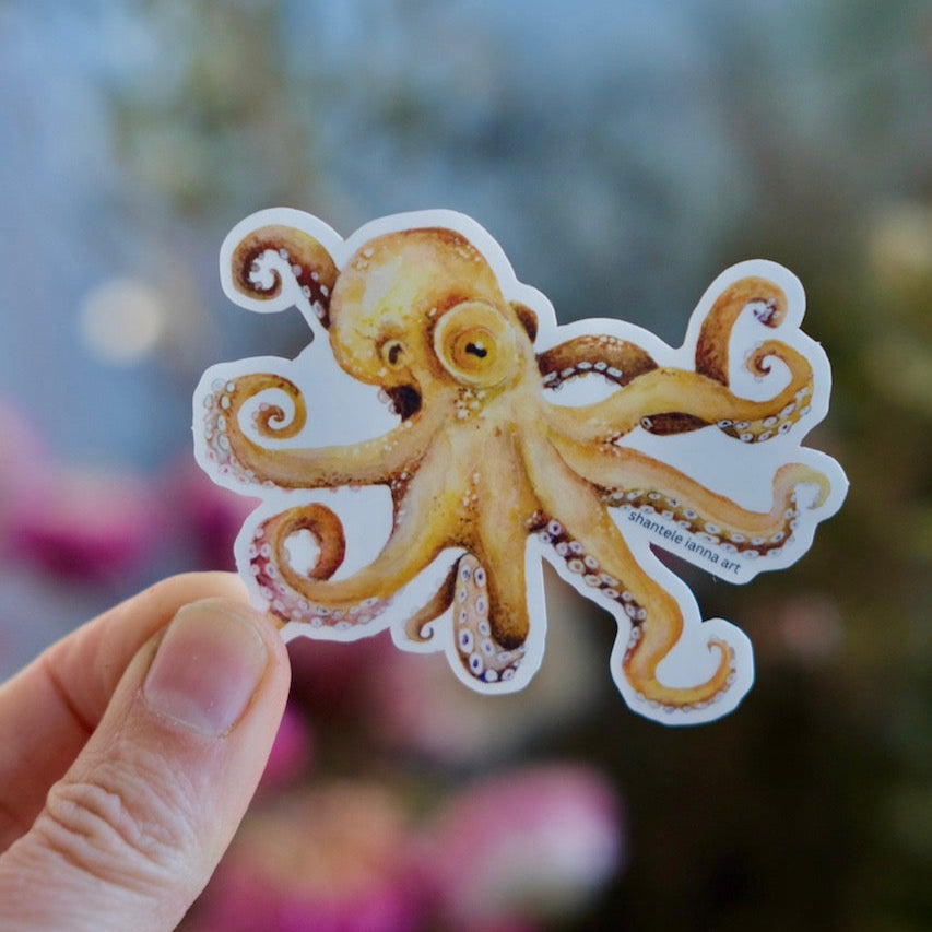 Watercolor Octopus vinyl Sticker