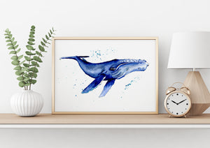 Humpback whale watercolour