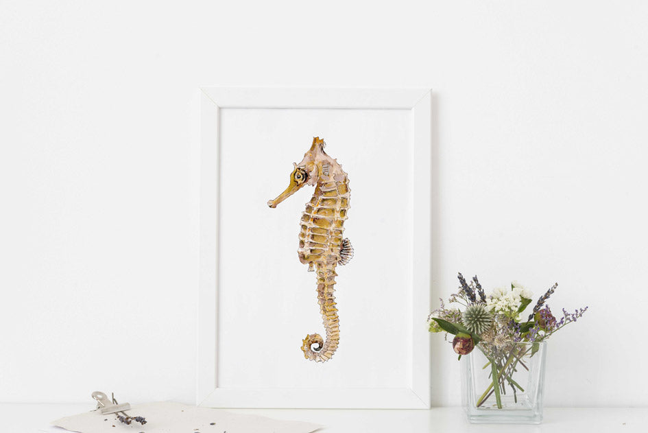 Seahorse print