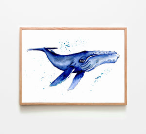 Humpback whale watercolour