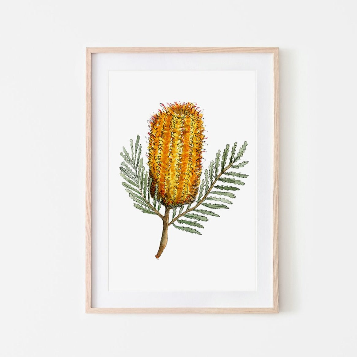 Banksia Print