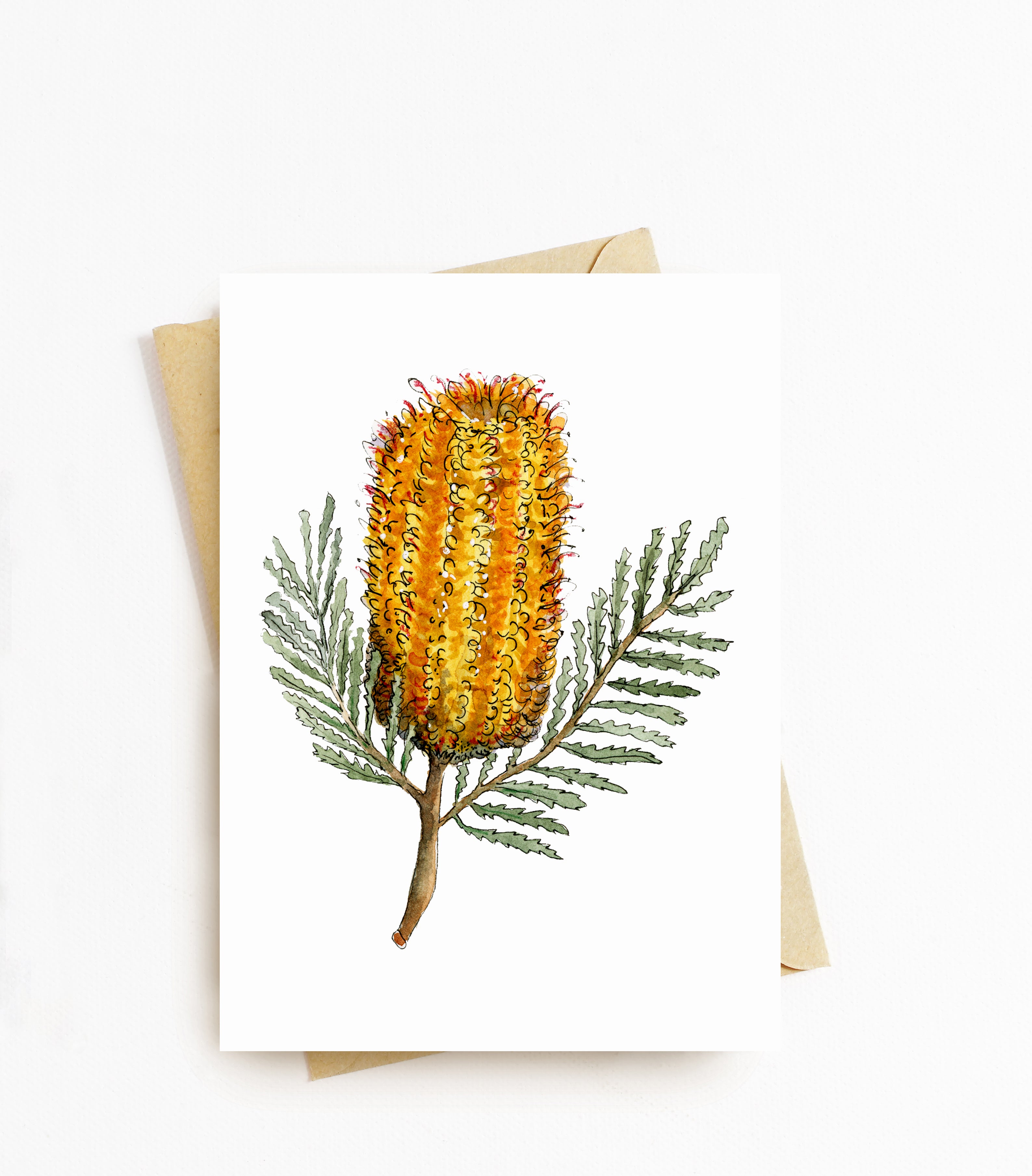 Hairpin Banksia Card