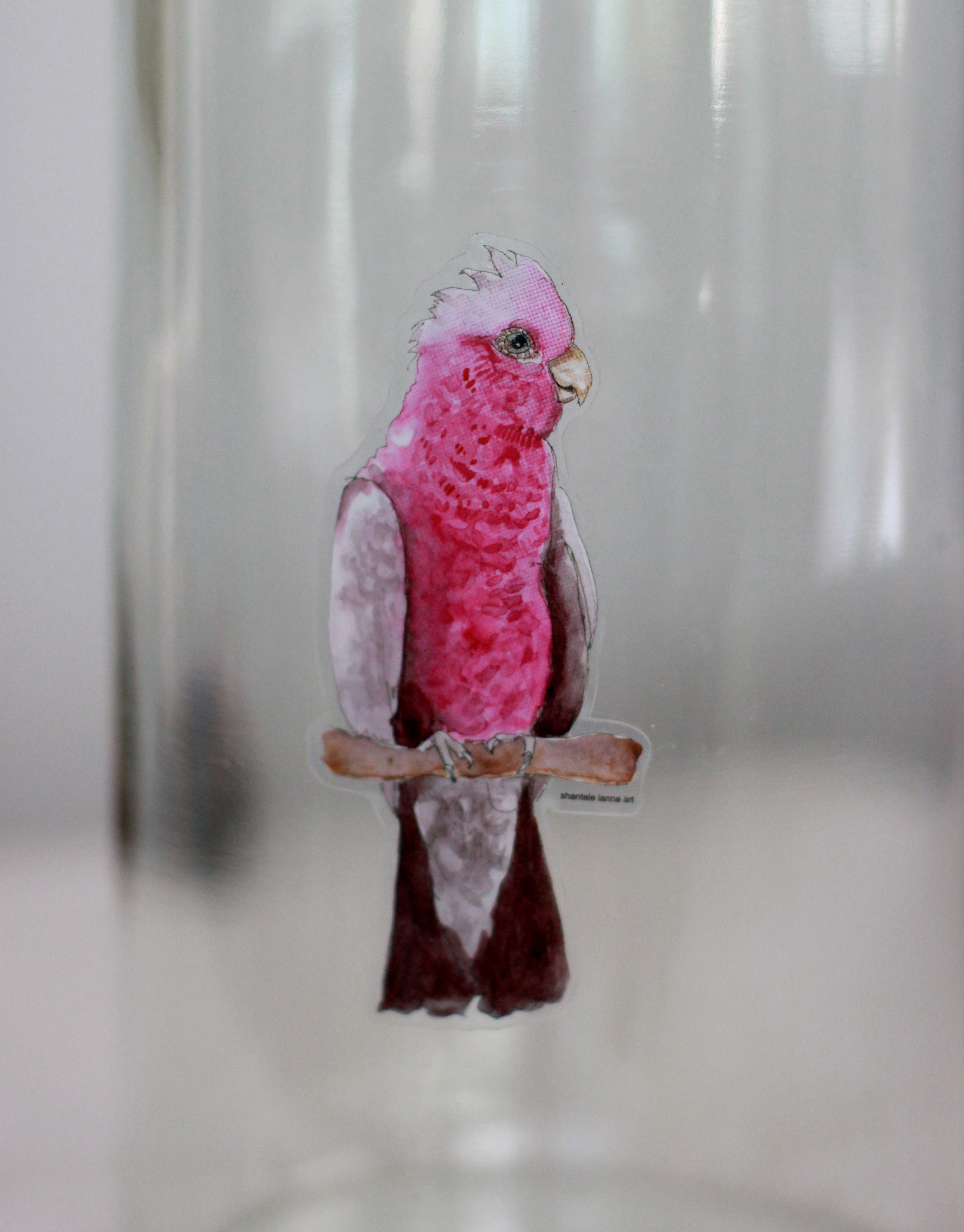Galah sticker