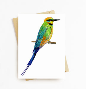 Rainbow Bee-eater Card