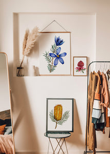 Banksia Print