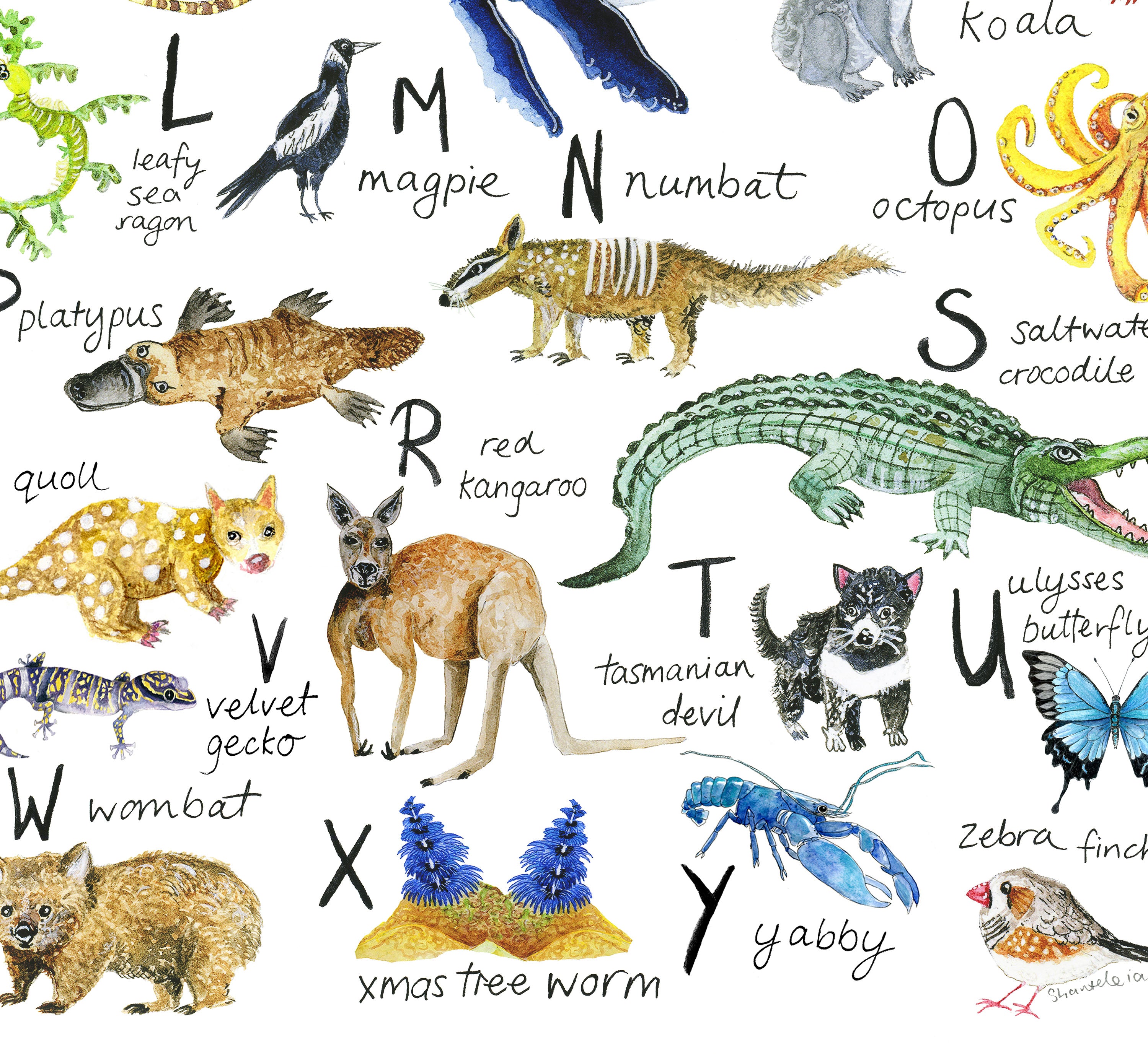 Australian animal alphabet print