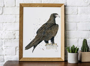 Wedgetail eagle print