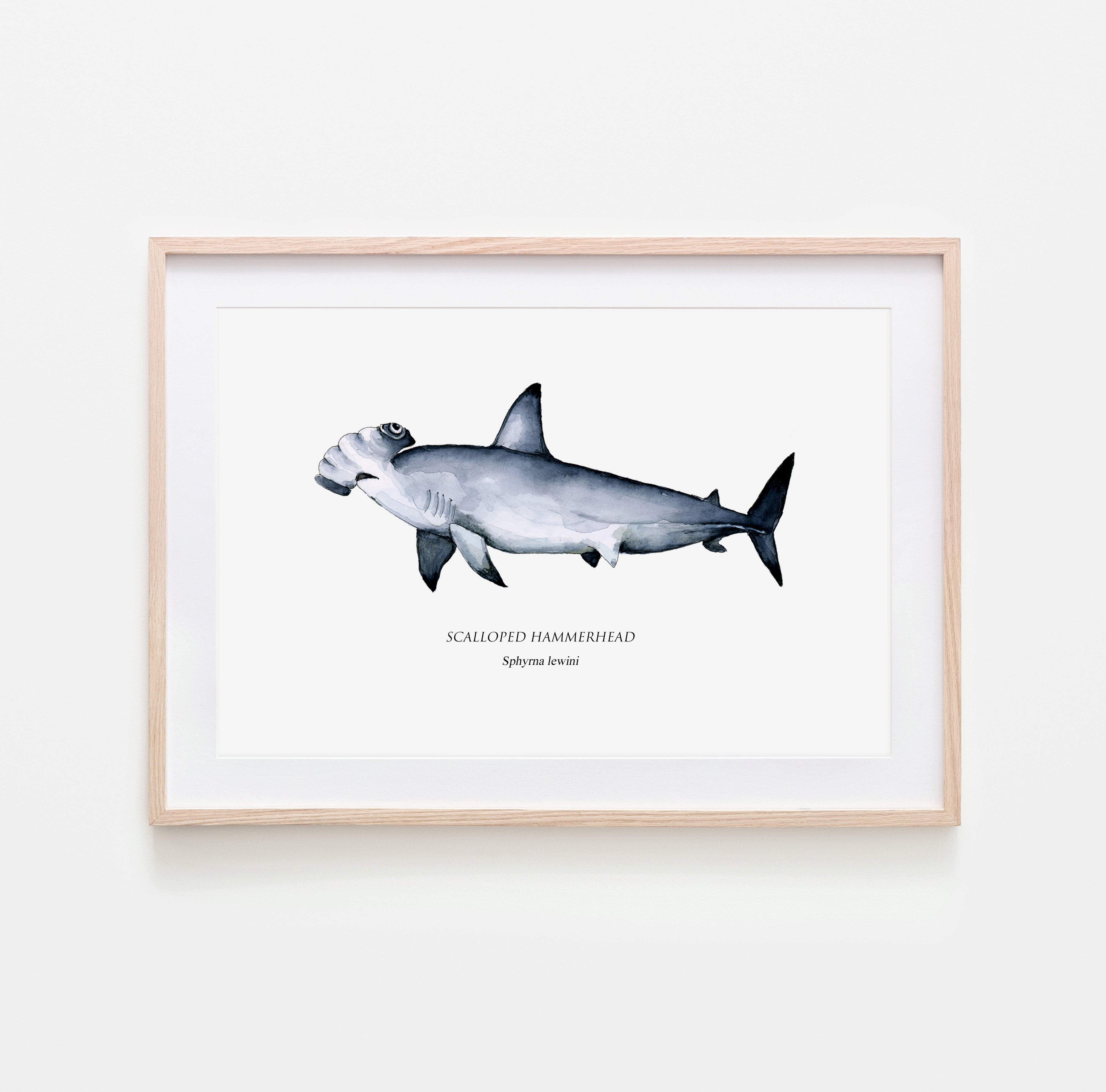 Hammerhead shark print