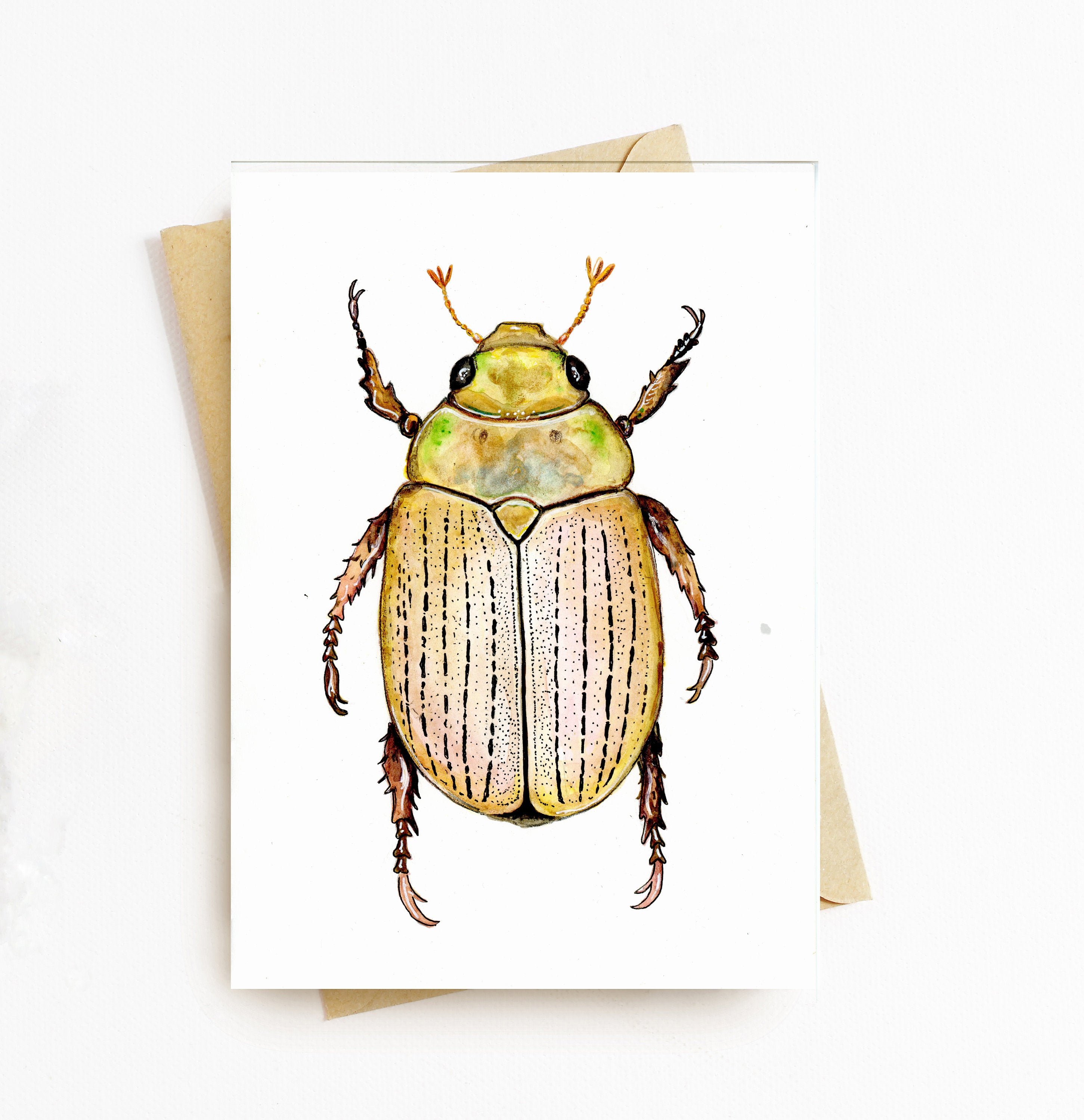 Christmas beetle christmas card