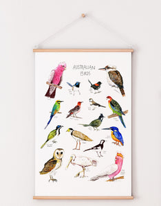 Australian birds poster