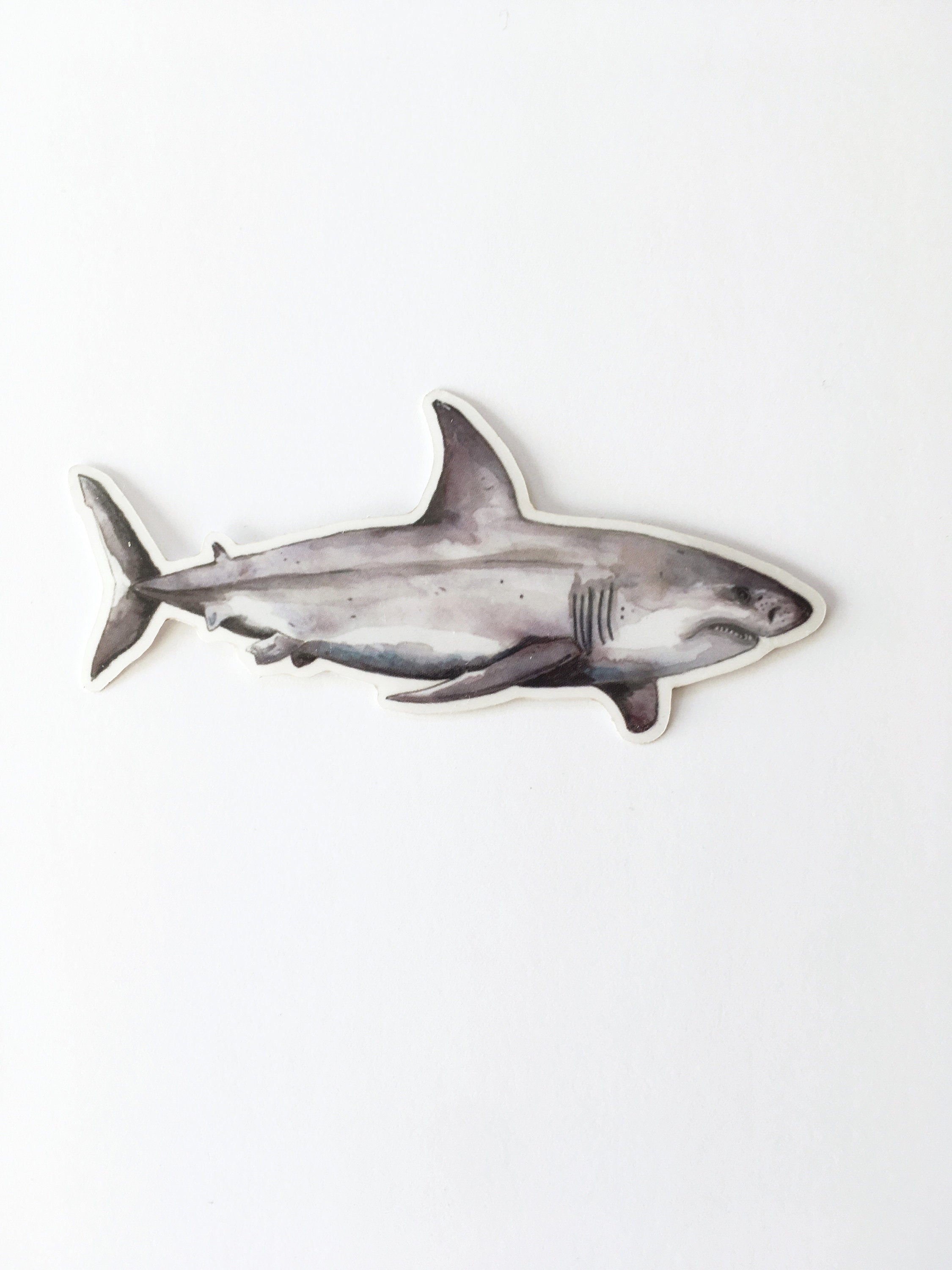 great white shark vinyl sticker in waterclor design