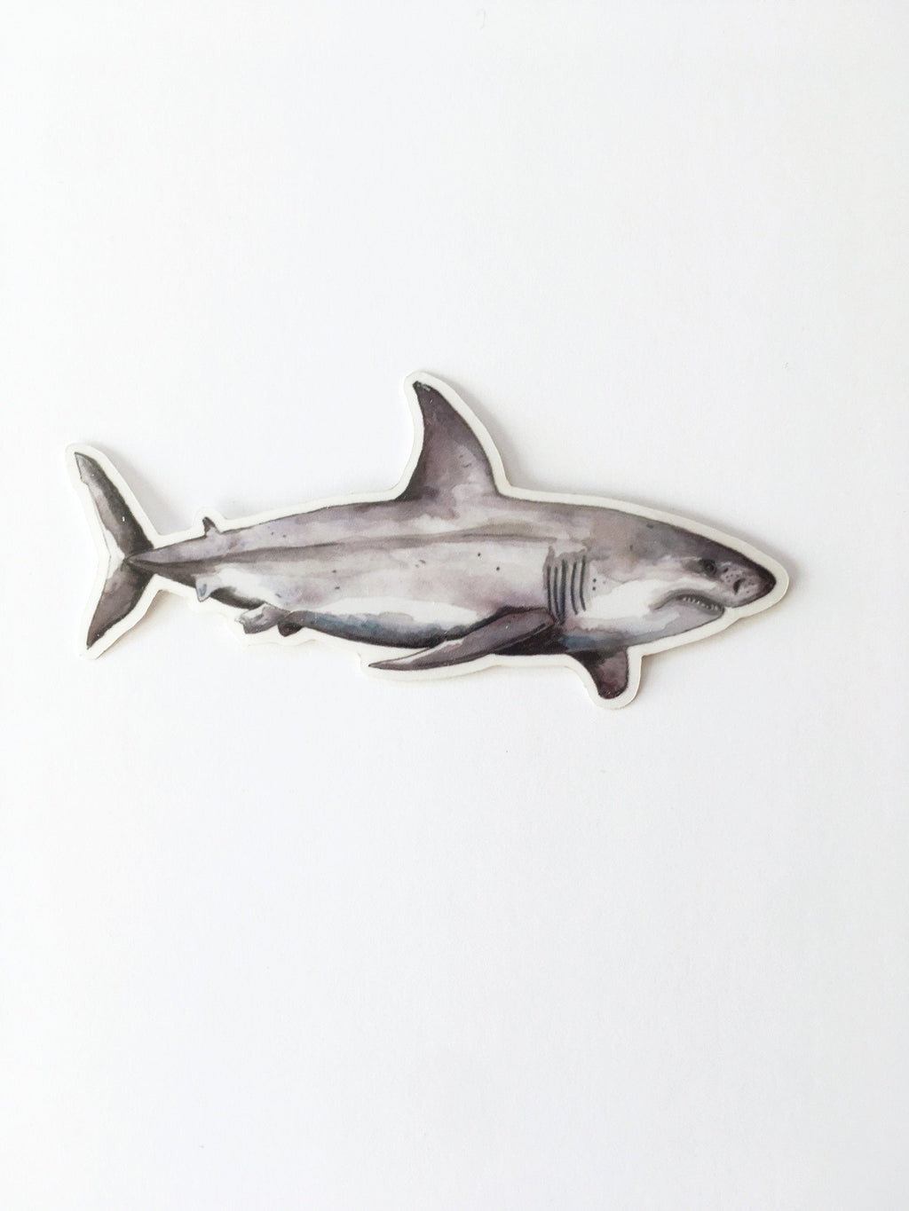 great white shark vinyl sticker in waterclor design