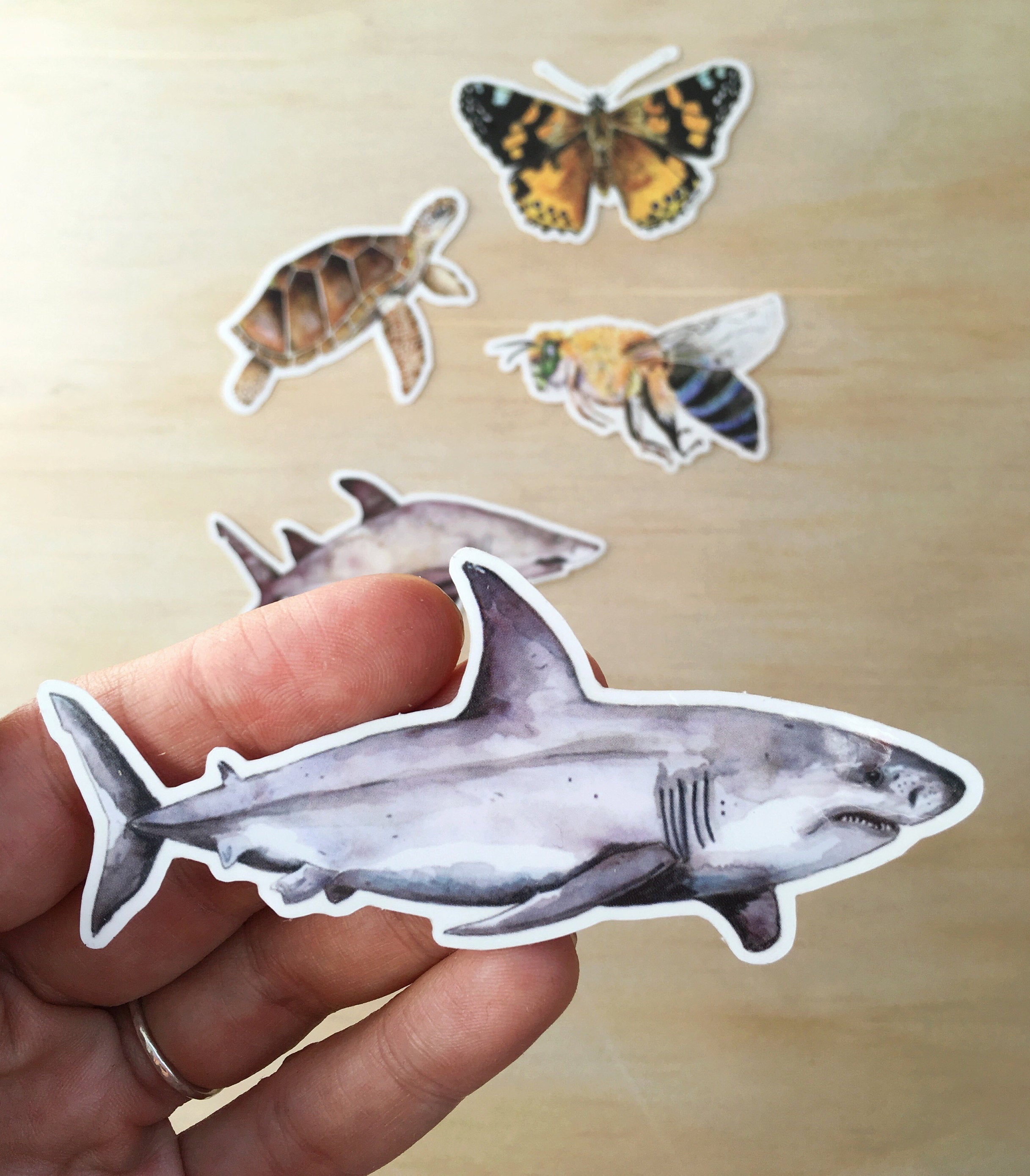 Shark sticker