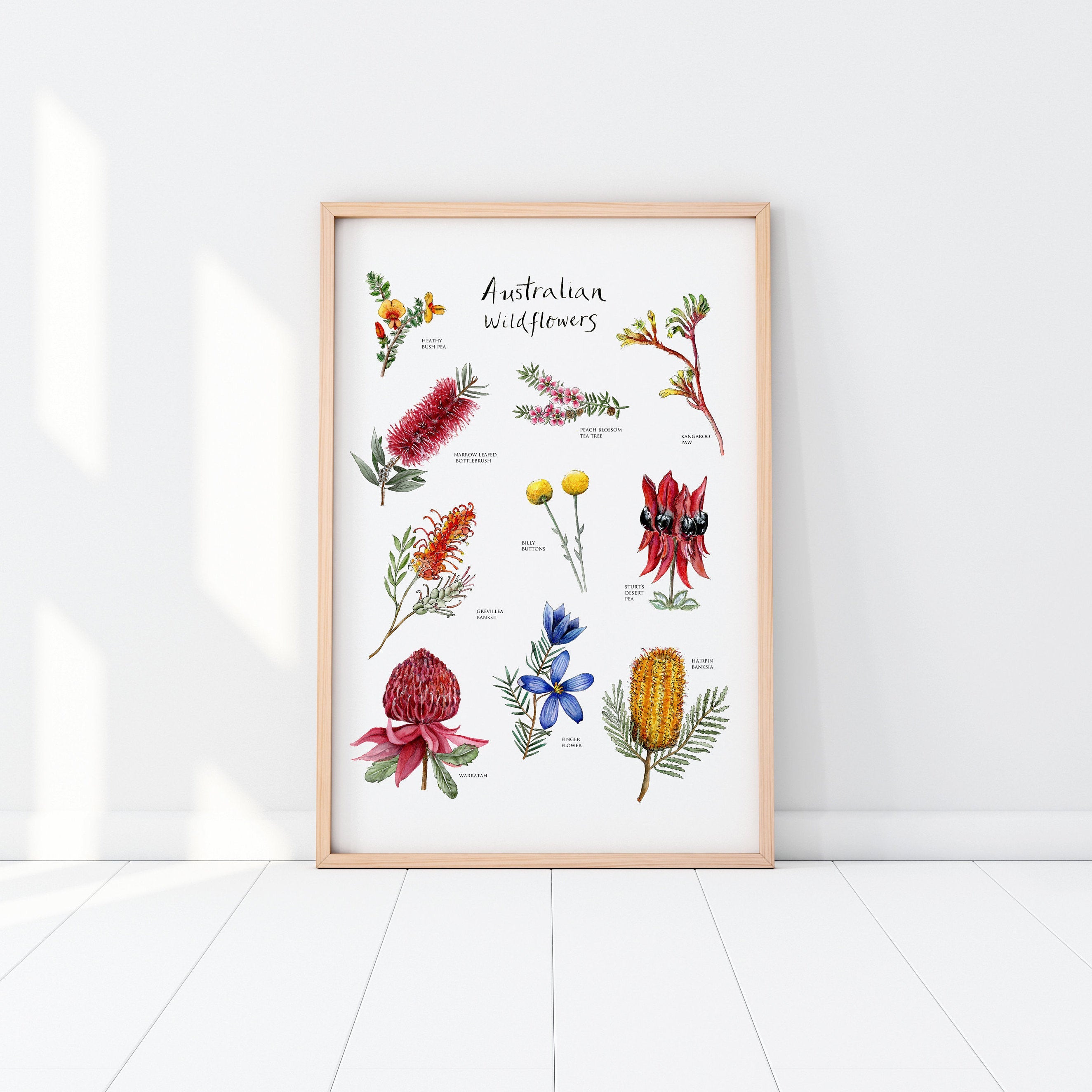 Australian native wildflower poster