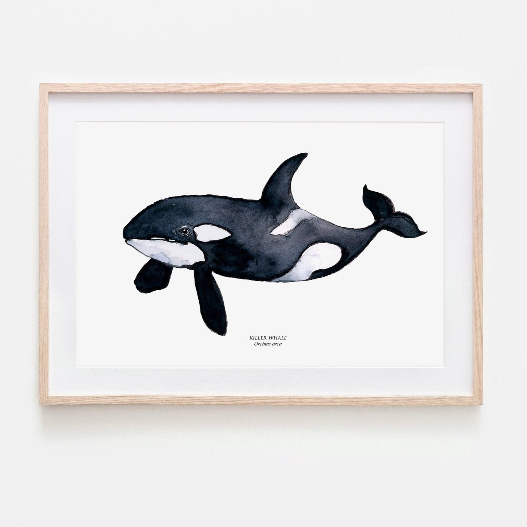 Killer whale print