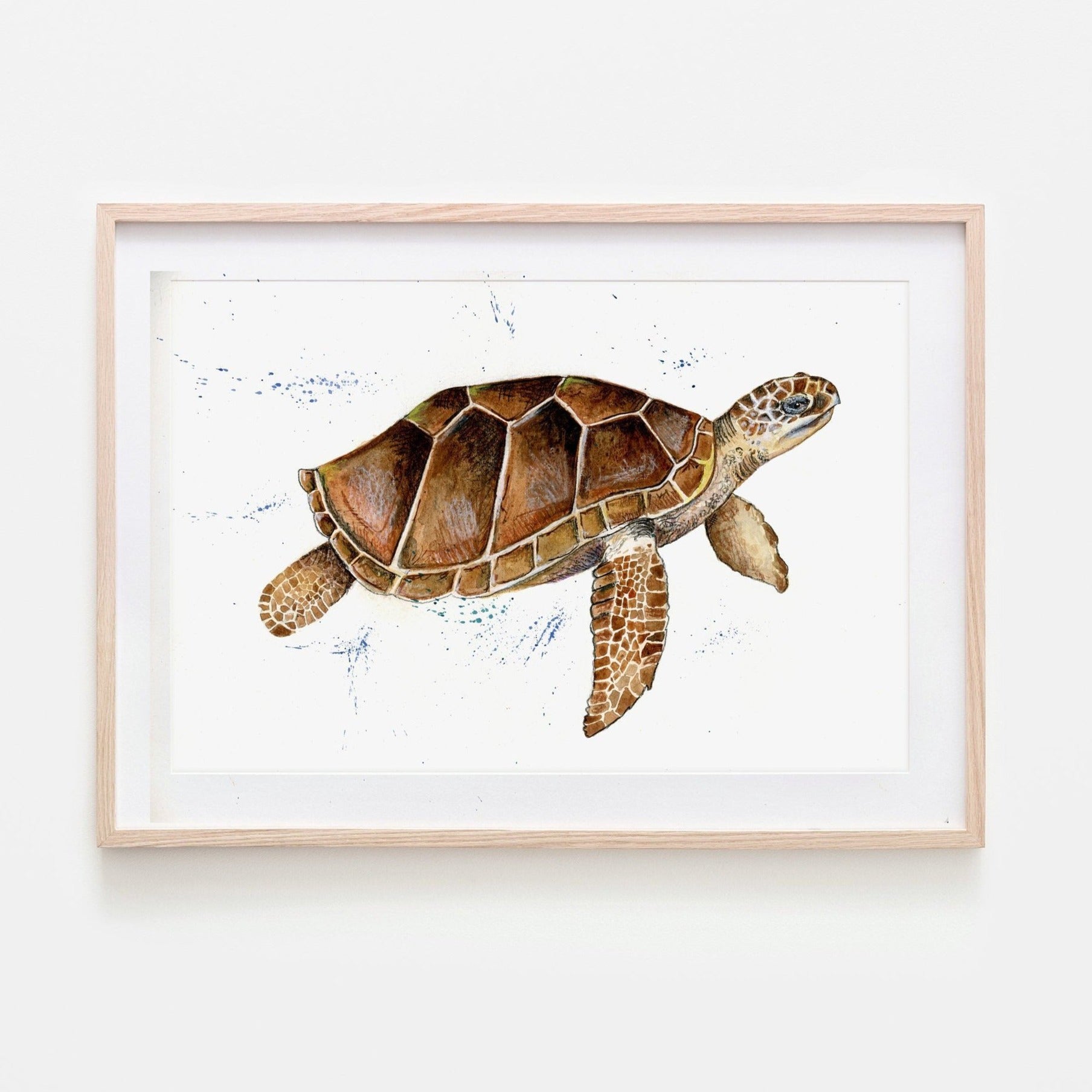 loggerhead turtle print