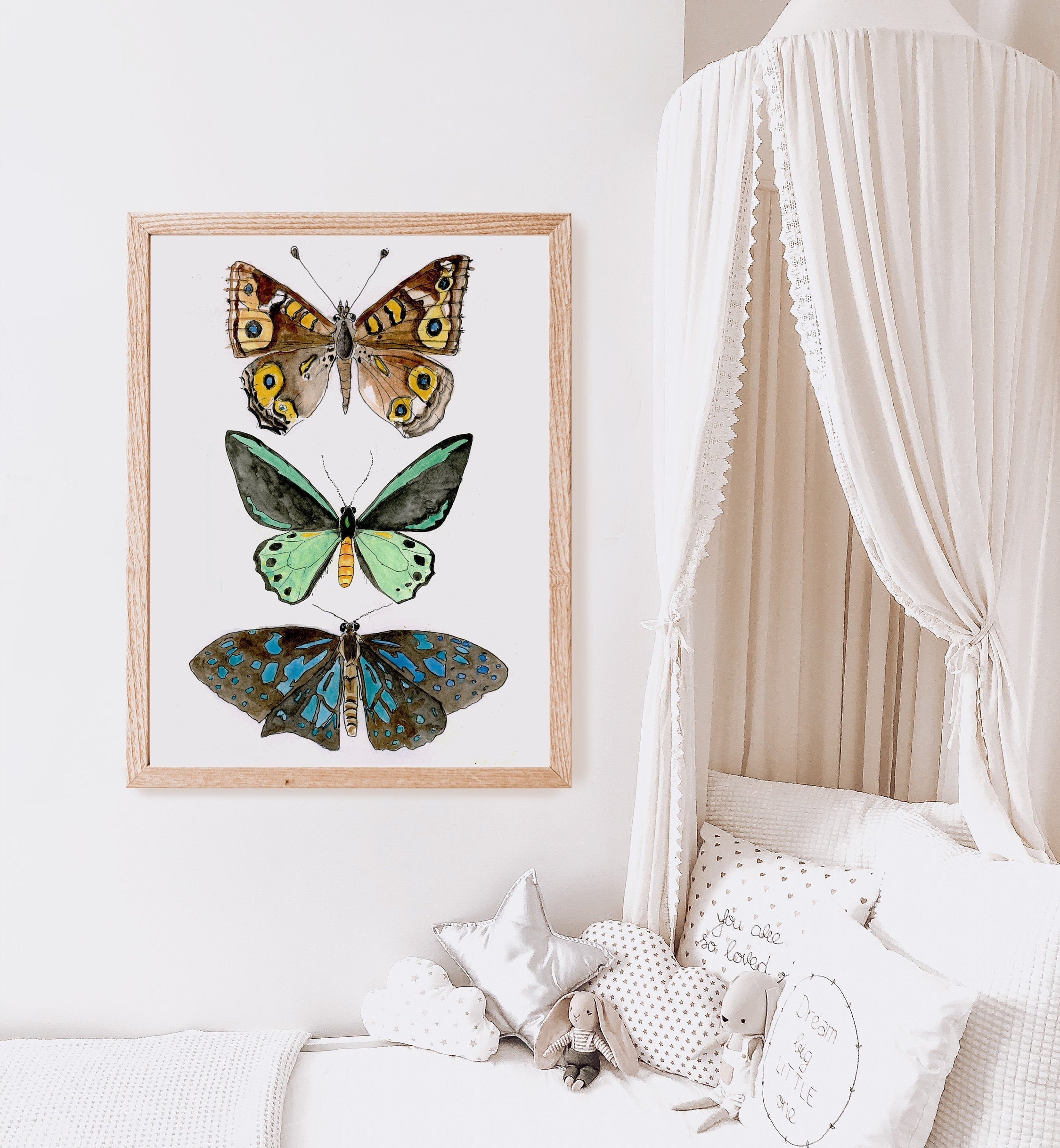 Butterfly print with endangered Richmond Birdwing