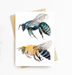 native bees card
