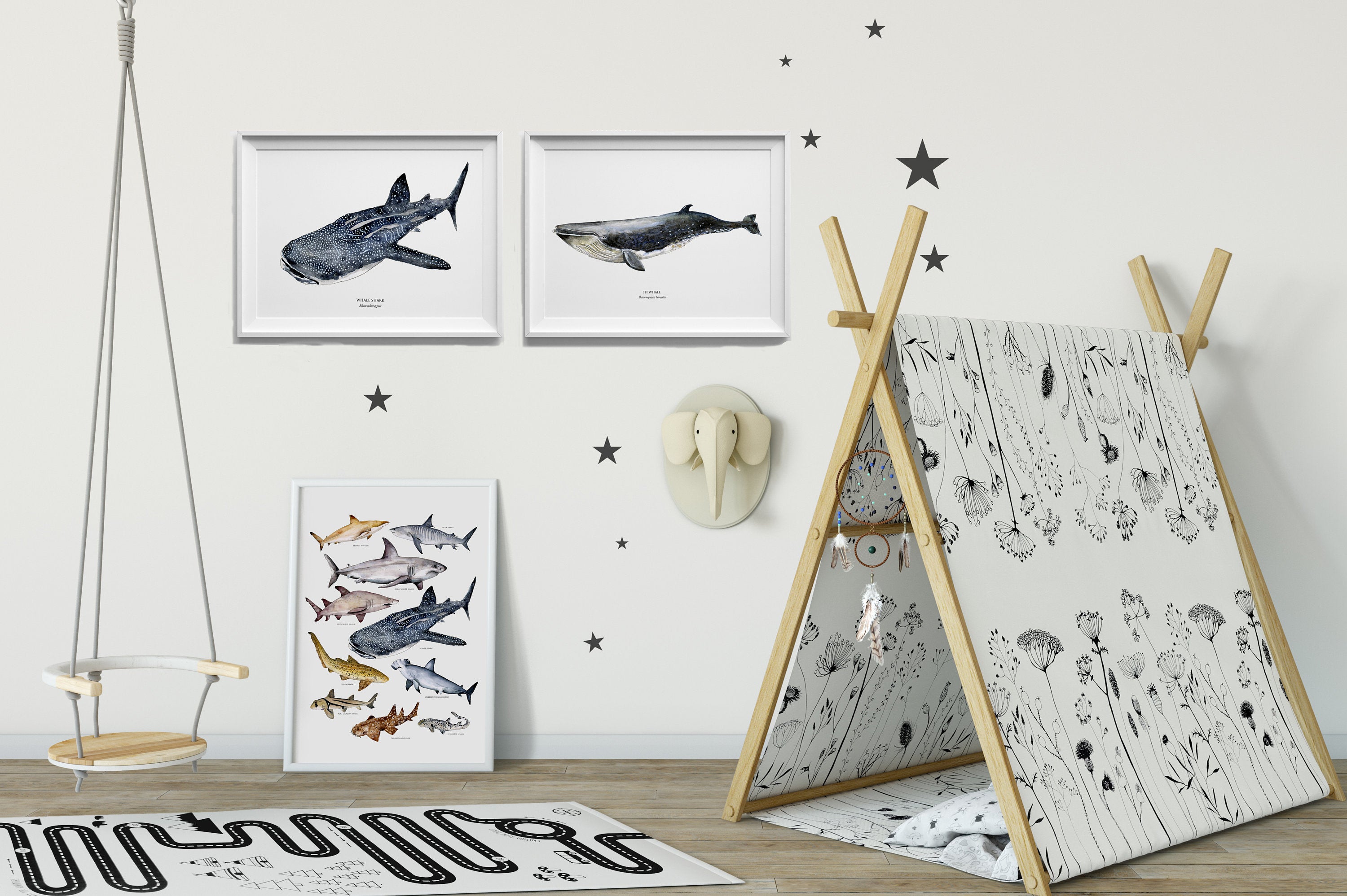 Whale shark poster