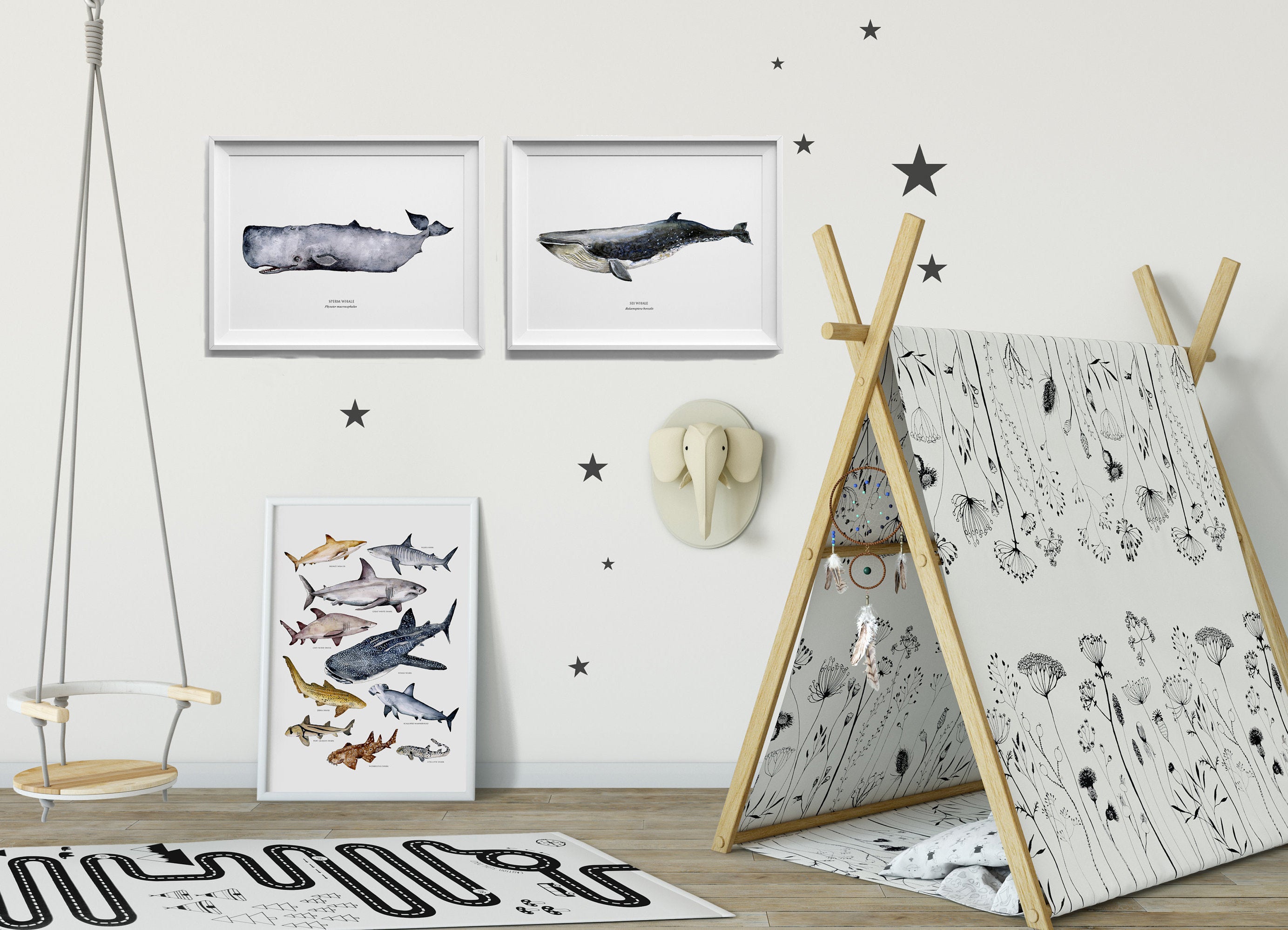 Sei whale poster