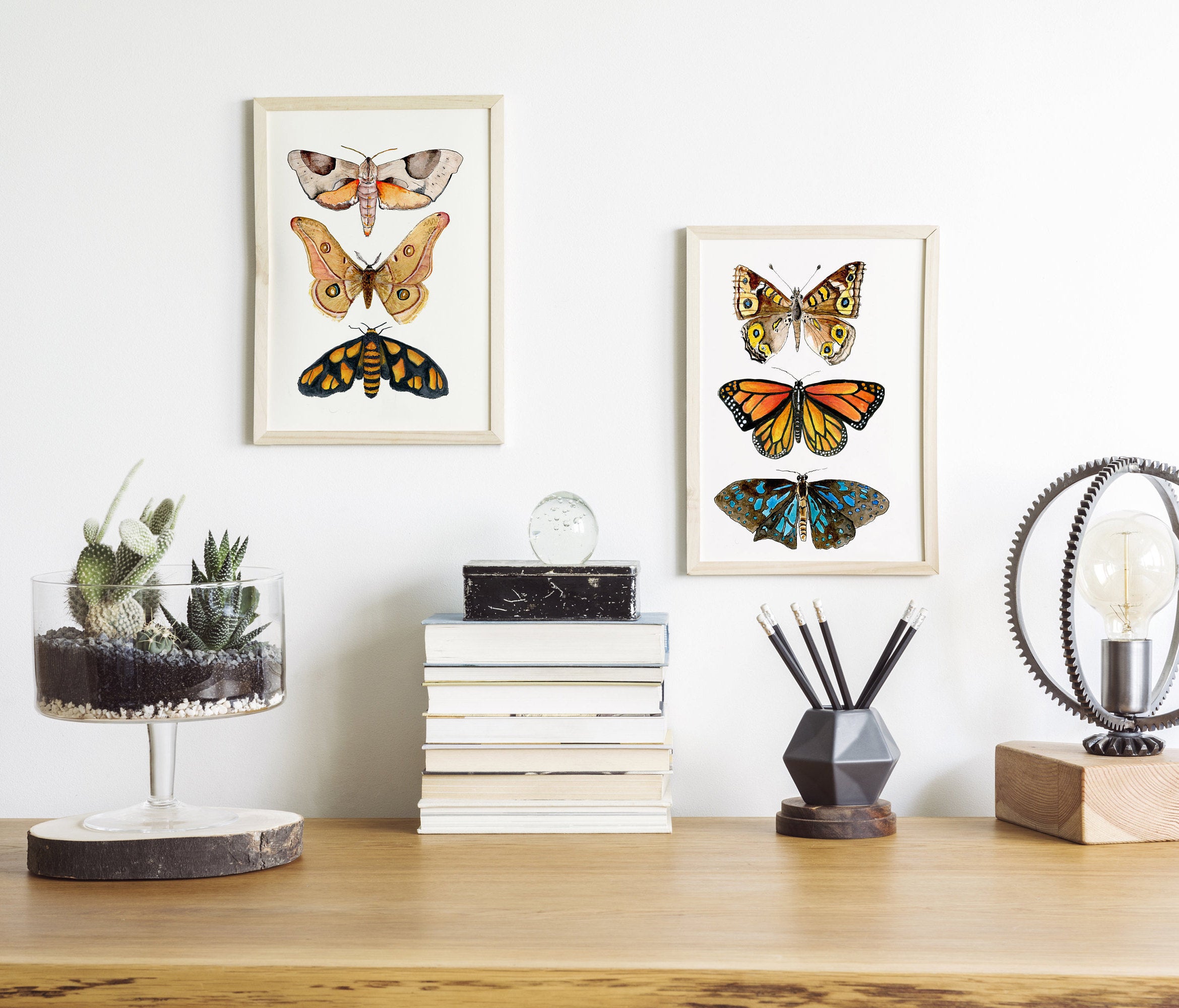 Australian moth print