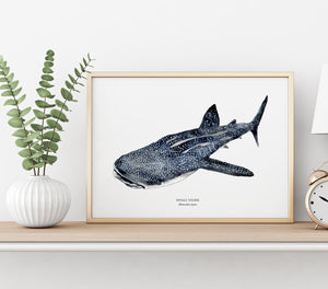 Whale shark poster