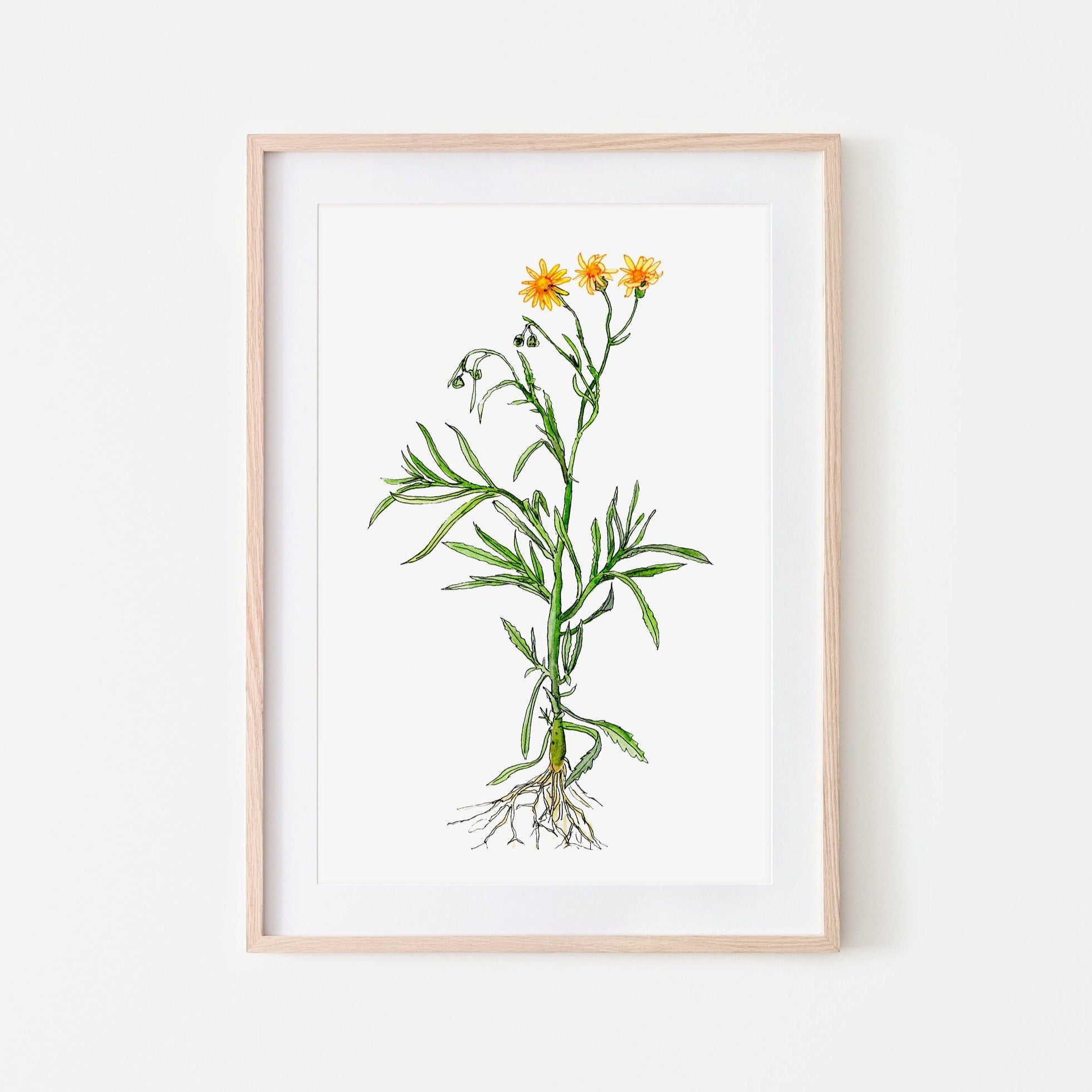 Wildflower print - fire weed