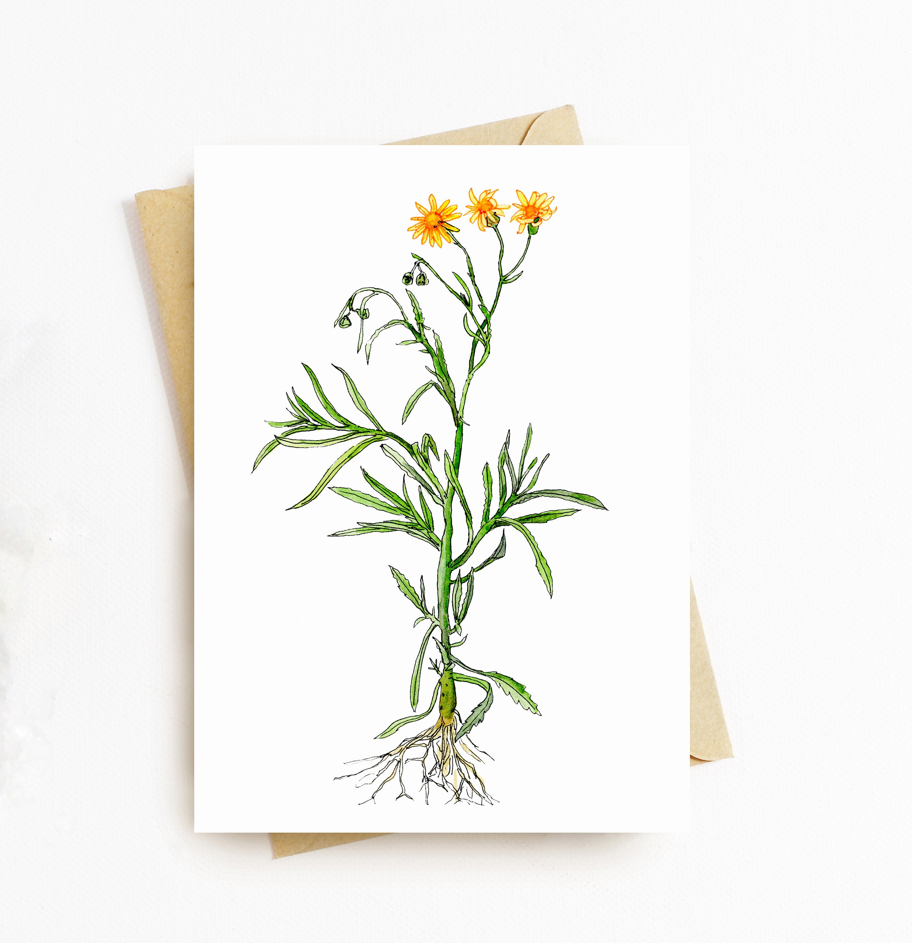Fire weed greeting card