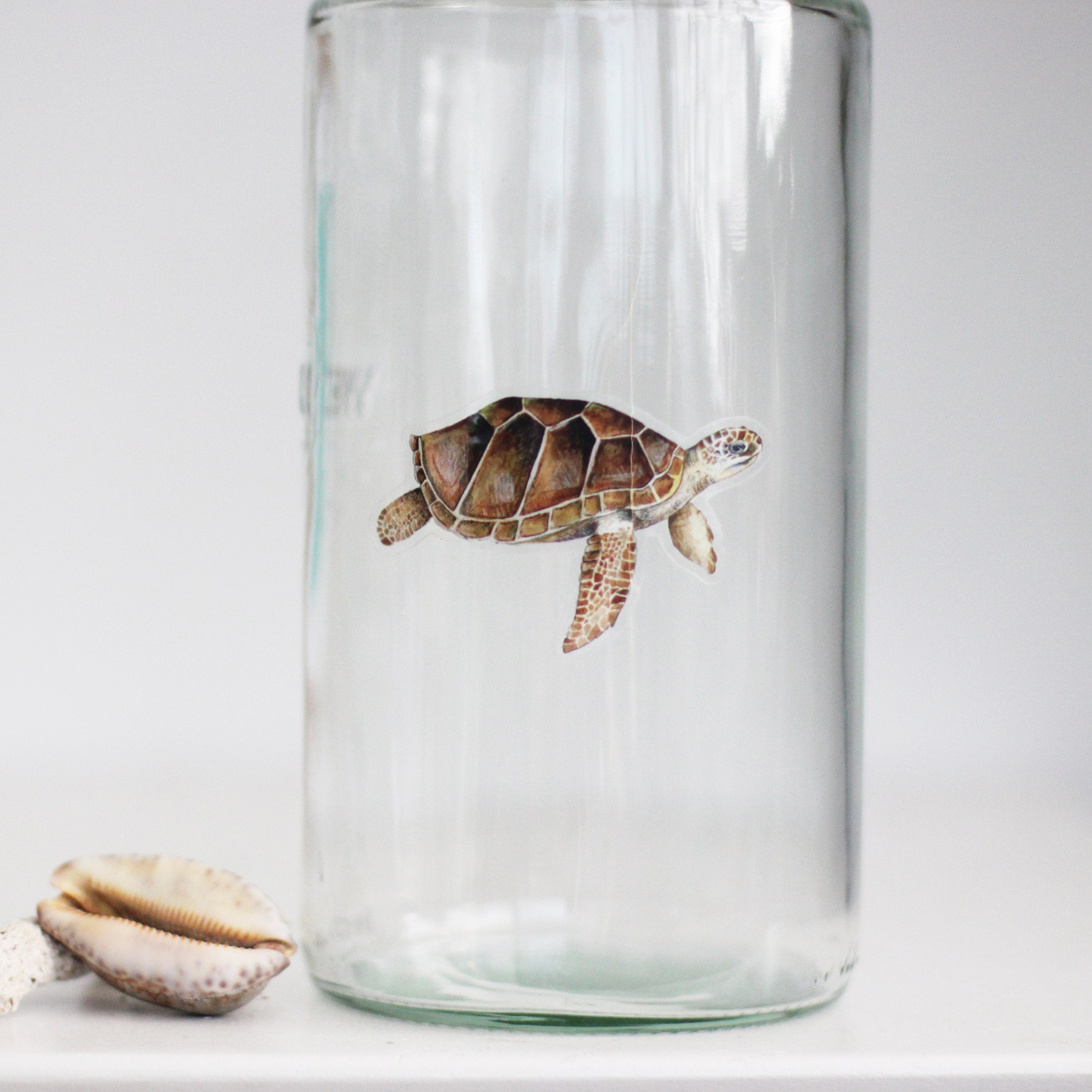 Loggerhead turtle sticker