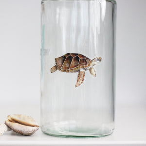 Loggerhead turtle sticker